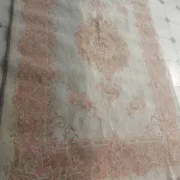 فرش|فرش|لاهیجان, کوی خزر|دیوار