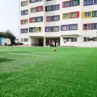 کارخانه دنیای چمن