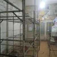 قفسه مناسب پرورش قارچ|فروشگاه و مغازه|گنبد کاووس, |دیوار