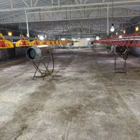 سالندار و پرورش دهنده مرغداری گوشتی