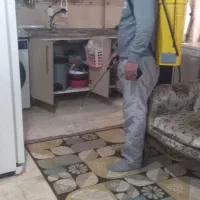 سمپاشی حشرات۱۰۰تضمینی سوسک ساس سراسرتهران حومه