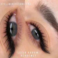 اموزش اکستنشن و کاشت مژه در مرکز تخصصی با مدرک|خدمات آموزشی|شیراز, ارم|دیوار