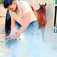 نعل بندی سرد وگرم