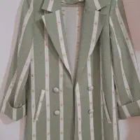 مجلسی/مانتو