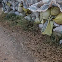 کاه یونجه|خدمات باغبانی و درختکاری|خوی, |دیوار