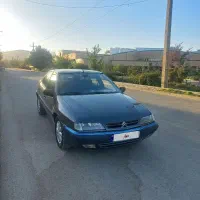 زانتیا ۸۴درجه یک باب دوست