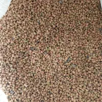 لوبیا ریز آشی تمیز درجه یک