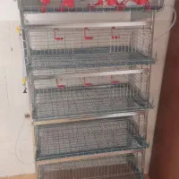 قفس بلدرچین 5 طبقه گالوانیزه