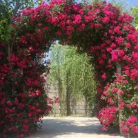 پرسنل تالار و کارگر ساده