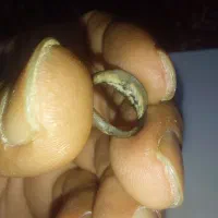 مهره گبری،نشان|کلکسیون اشیاء عتیقه|شیراز, امام حسین|دیوار