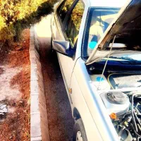 پژو 405 دوگانه فابریک