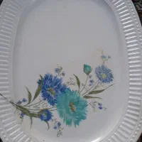 دیس ملامین بزرگ و سالم