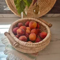 محصولات آشپزخونه