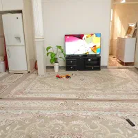 خونه-در-زیباشهر