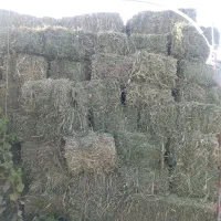 پرس خشک درجه یک