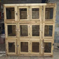 جفت کنی کفتر