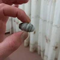 مهره لول سلیمانی