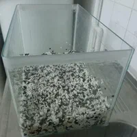 آکواریم جهت ماهی  یاهمستر