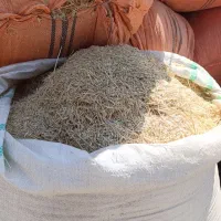 یونجه و کاه و سیلو|خدمات باغبانی و درختکاری|قزوین, |دیوار