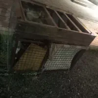 سرخ کن سمبوسه وفلافل سیار