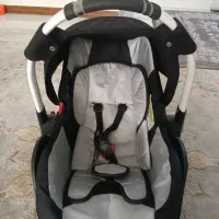 کریر مارک دلیجان