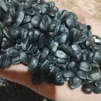 تخمه آفتاب گردان کیلو۵۰۰