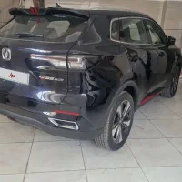 چانگان خشک وارداتی