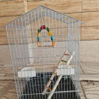 قفس پرنده|لوازم جانبی حیوانات|اصفهان, ملک‌شهر|دیوار