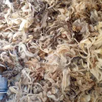 پشم گوسفندی