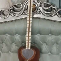 تار حرفه ای معصومی