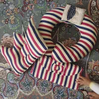 بالش شیردهی و رختخواب مهمانی نوزاد|رختخواب، بالش، پتو|ساری, |دیوار