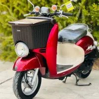 پاکشتی کلکسیونی