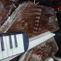 انواع سنتور های ویژه (سروری)|سازهای سنتی|اردبیل, |دیوار