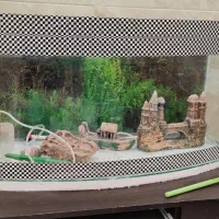 آکواریوم بزرگ منحنی
