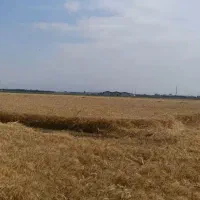 زمین-کشاورزی-36000-متر