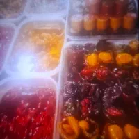 فروشنده  ثابت اقا  برای نمایشگاه شهر به شهر