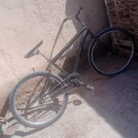 دوچرخه 26 معاوضه با چرخ20 و با جفت کوتوله برزیلی