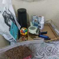 سگ  واگذار میشود|سگ|ارومیه, |دیوار