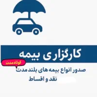 همکار خانم