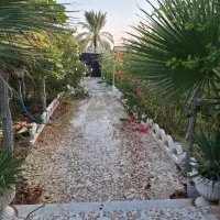 باغ-ویلا-با-امتیاز-آب-برق-سند-تک-برگ
