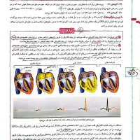کتاب تست زیست شناسی خیلی سبز دهم قیمت روی جلد|کتاب و مجله آموزشی|تهران, فردوس|دیوار