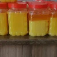 کره محلی، روغن زرد گاوی