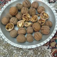 گردو .گردوی ایرانی