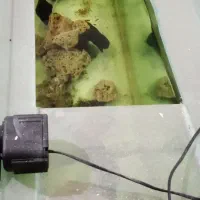 اکواریوم بزرگ|ماهی|خرمآباد, |دیوار