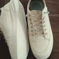 کفش|کیف، کفش، کمربند|شهرضا, |دیوار