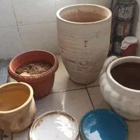گلدان باکس