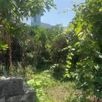 ویلا باغ ۸۰۰ متری نمک ابرود|فروش زمین و ملک کلنگی|هچیرود, |دیوار