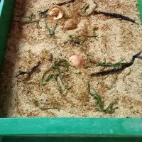 فروش تجهیزات میلورم