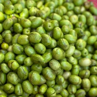 زیتون شکسته درشت وروغن زیتون|خوردنی و آشامیدنی|منجیل, |دیوار