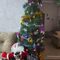 درخت کریسمس